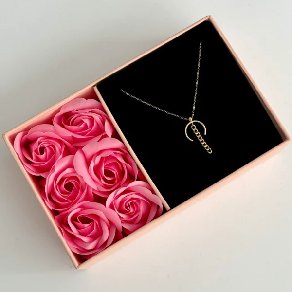 گردنبند طلا زنجیر متصل نیم دایره کارتیر آویز زنانه دخترانه کادویی